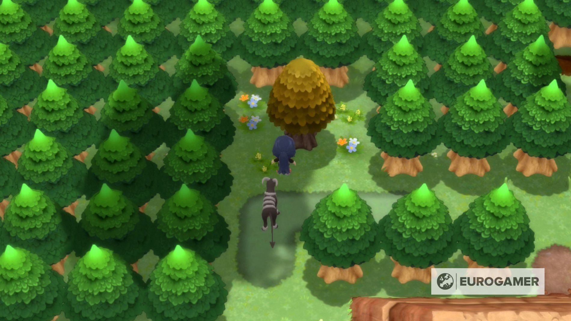 Honey tree Pokémon spawn list and wait time in Pokémon Brilliant